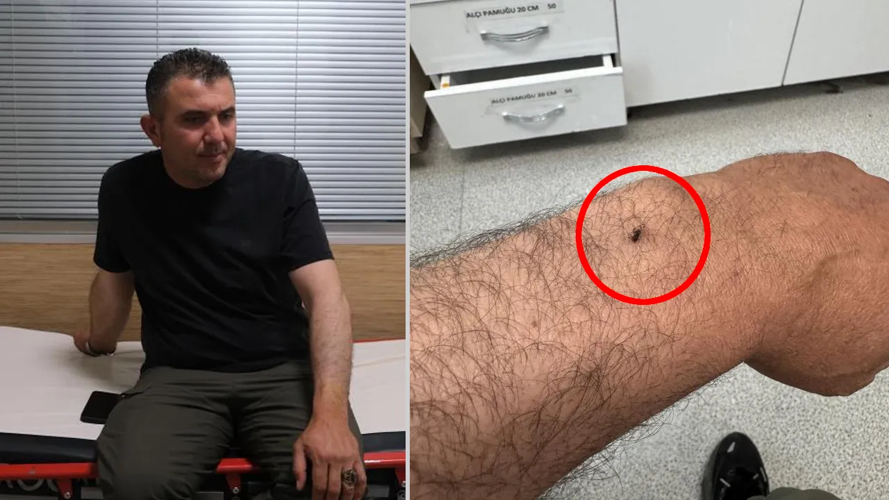 Tarladan dönünce gördü, hemen hastaneye koştu! “Kanımı emdiğini fark etmedim”