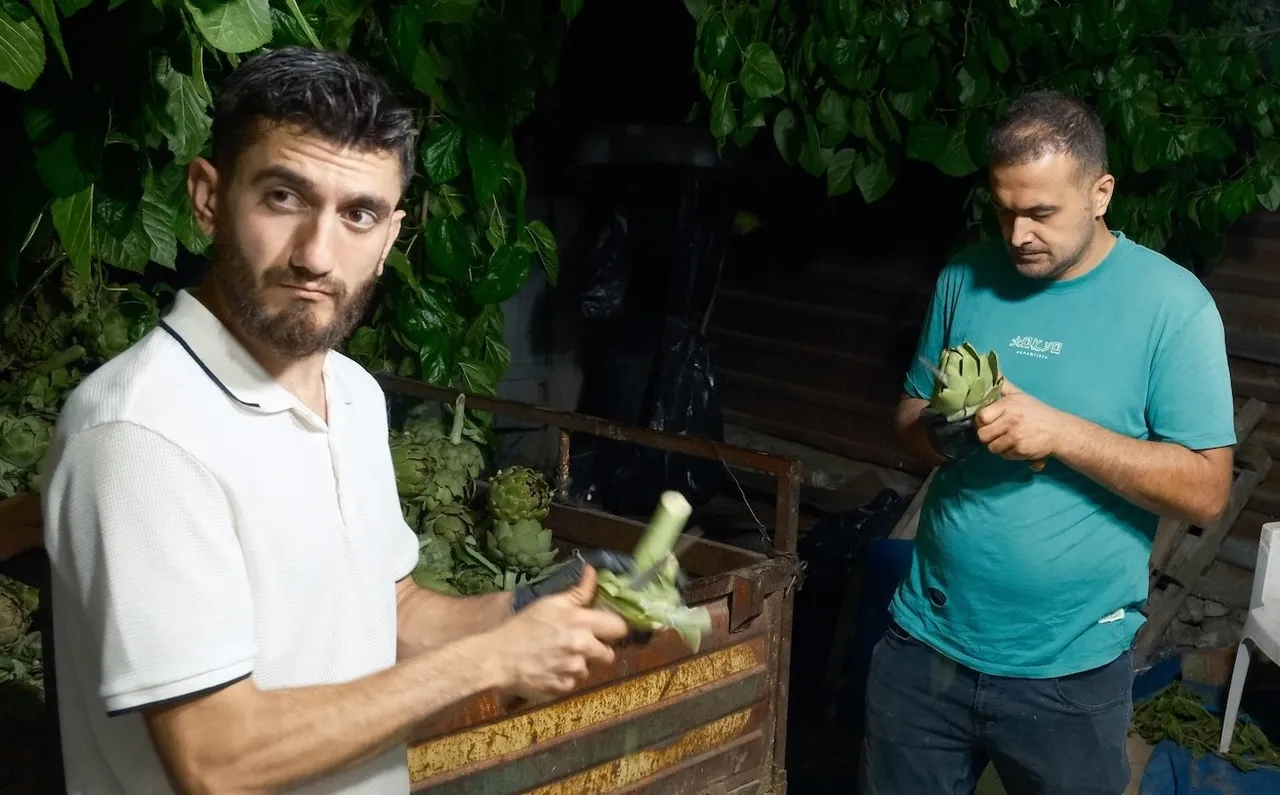 Üreticisi bile yetişemiyor! Tanesini 10 liraya günde 2 bin tane soyuyor, kazancı çok iyi