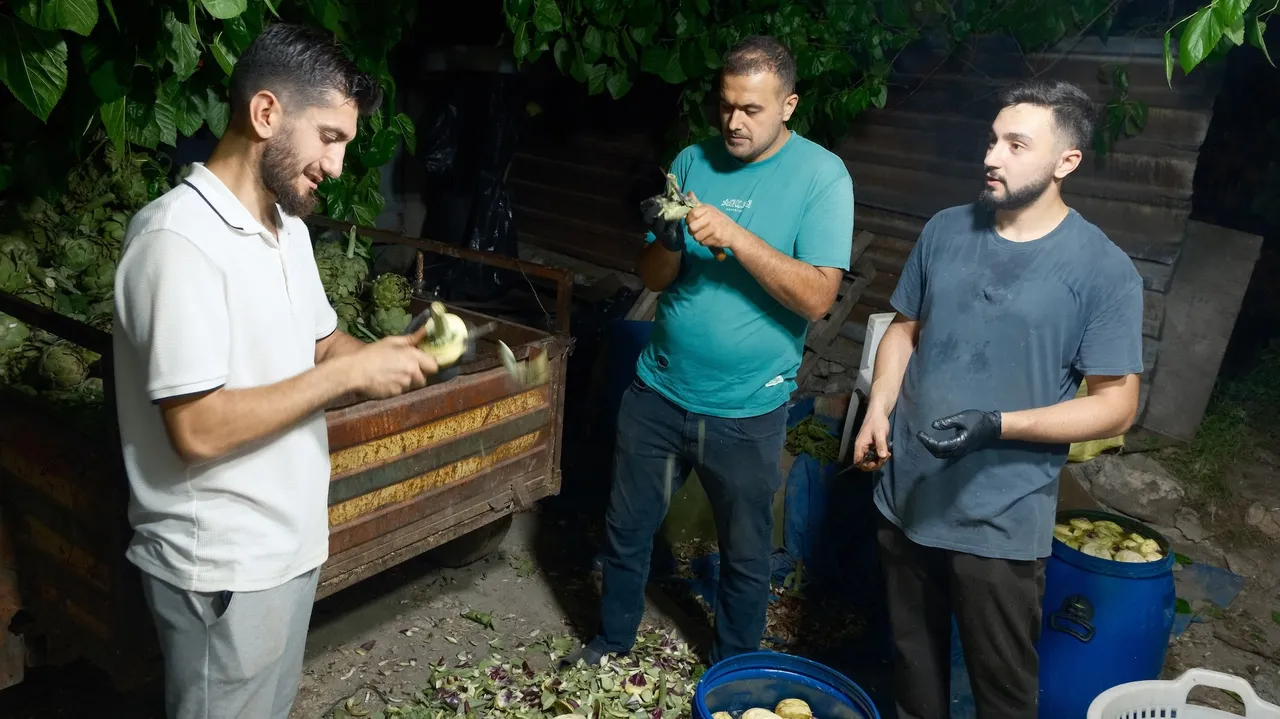 Üreticisi bile yetişemiyor! Tanesini 10 liraya günde 2 bin tane soyuyor, kazancı çok iyi