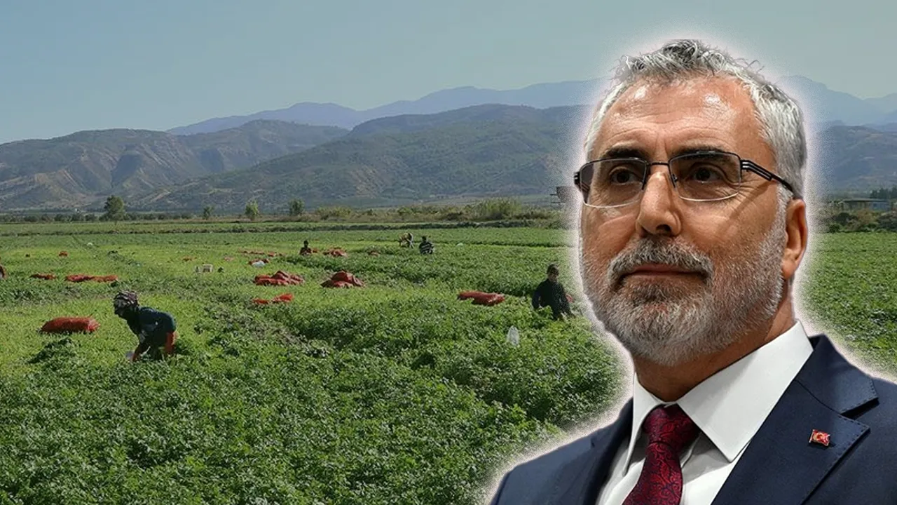 Bakan Vedat Işıkhan’dan 81 il valisine talimat! Mevsimlik işçilerin çalışma koşulları iyileştirilsin 