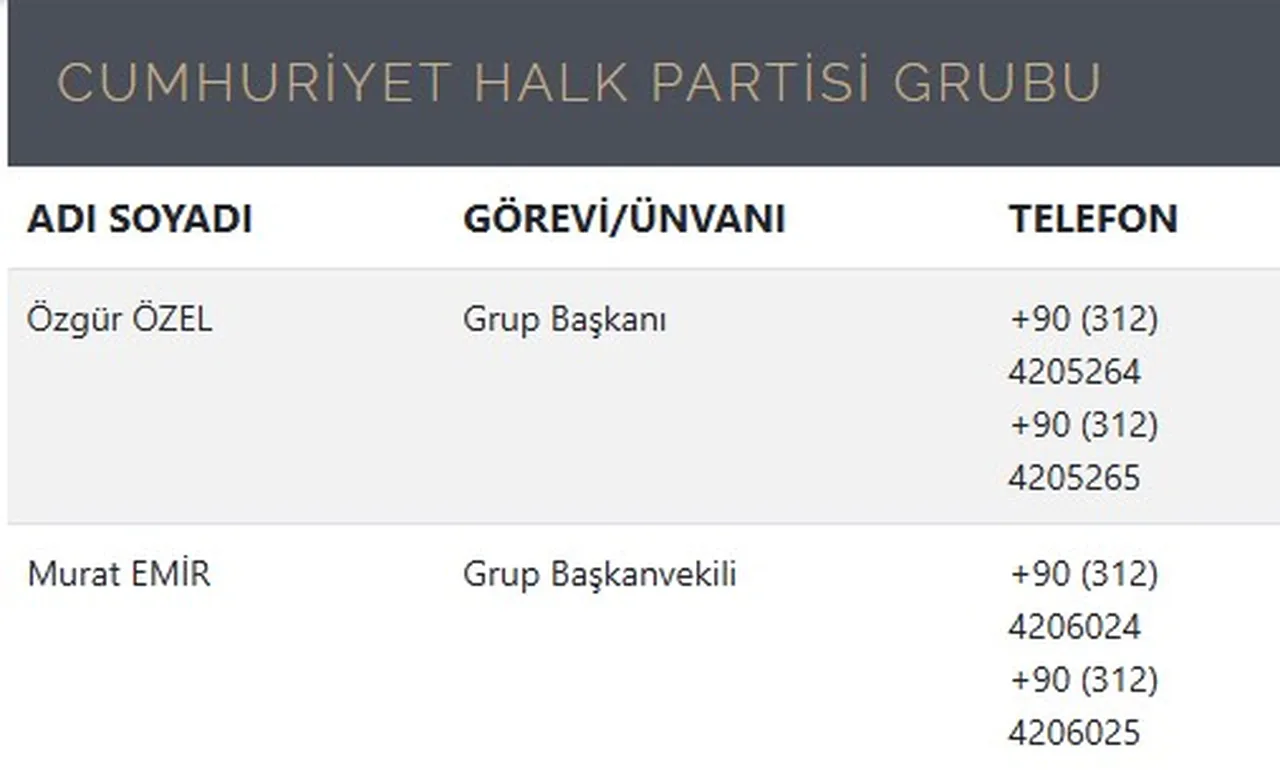 CHP'de bir deprem daha! Ali Mahir Başarır ve Gökhan Günaydın'ın başkanvekilliği düştü