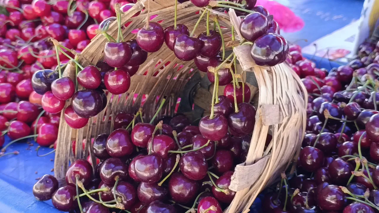Fiyat düştü, ilgi arttı! Kiraz yarı yarıya ucuzladı