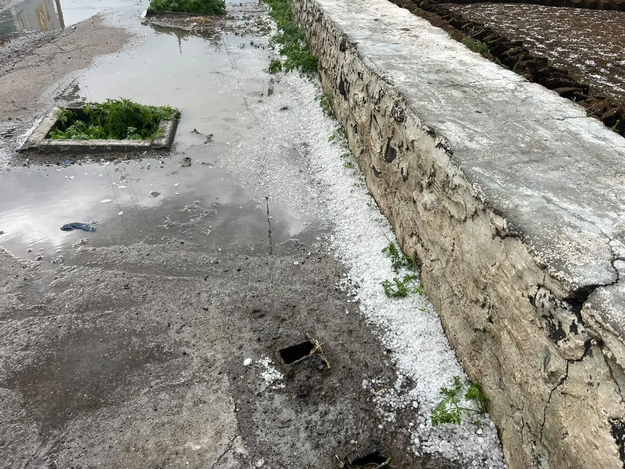 Kars’ta fındık büyüklüğünde dolu! Tarlalar, araçlar zarar gördü