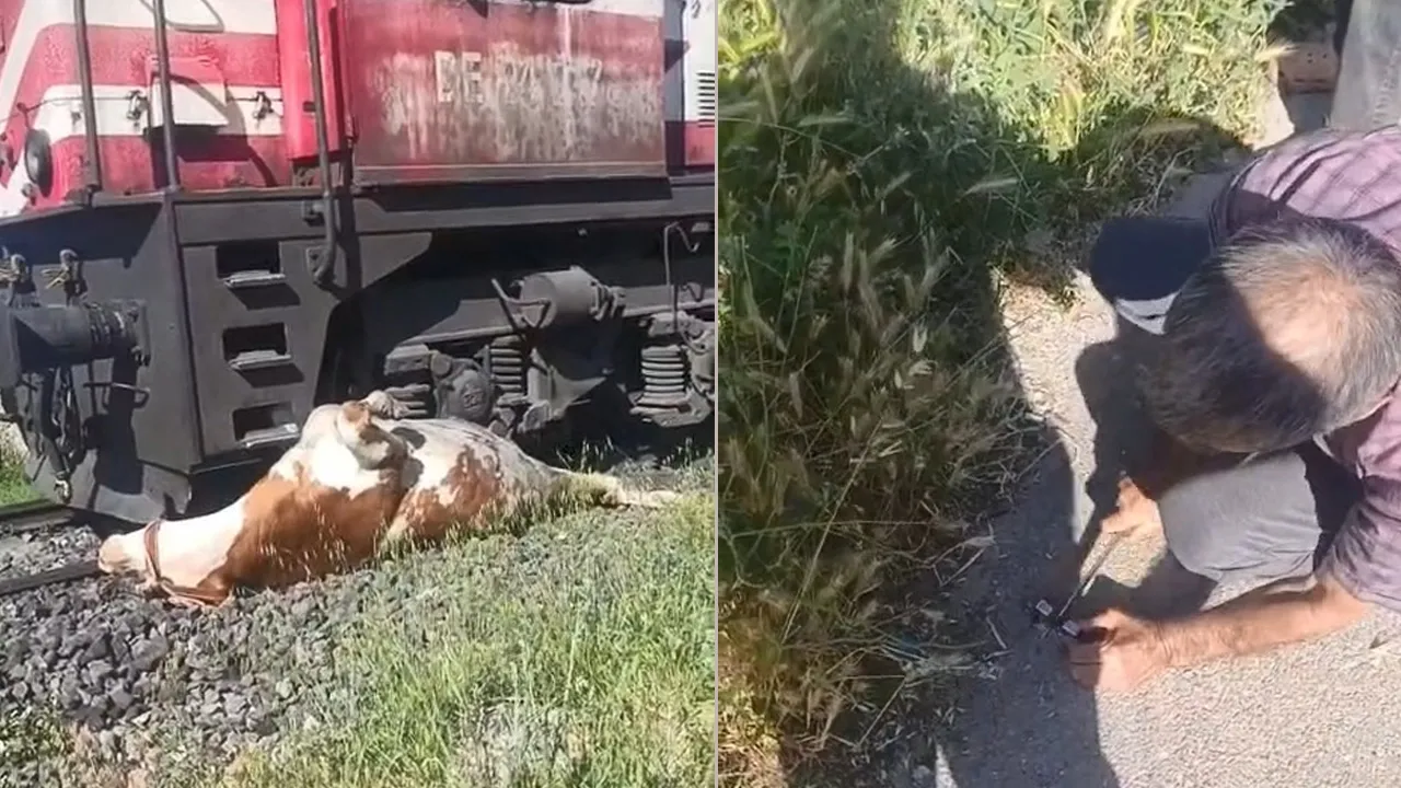 Korku dolu anlar! Zamanla yarıştılar, sahibinin çığlığıyla bıçak alıp koştular