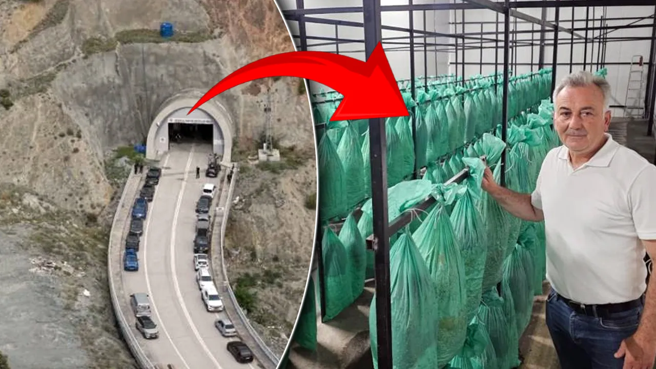 Tünelde üretiliyor, ilk hasat yapıldı! Kent ekonomisine büyük katkı sağlayacak