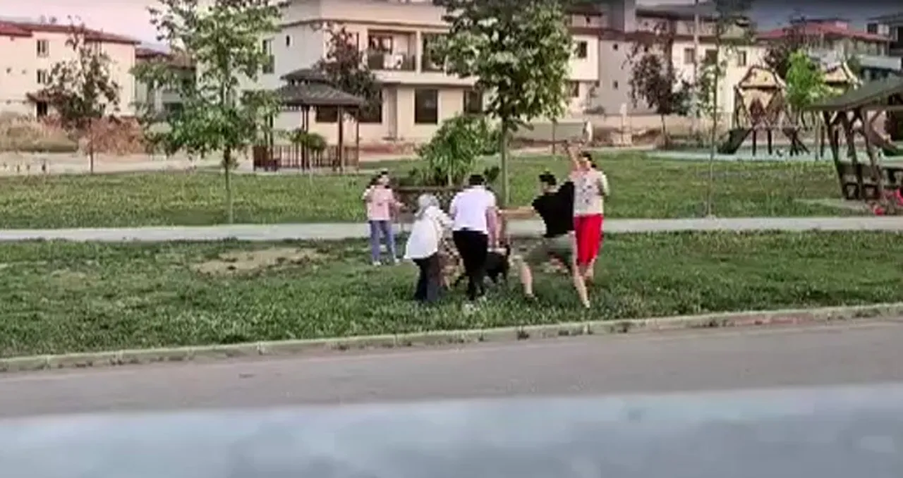Çocuk parkındaki köpek saldırısı kamerada! Doktorun müdahalesi faciayı önledi