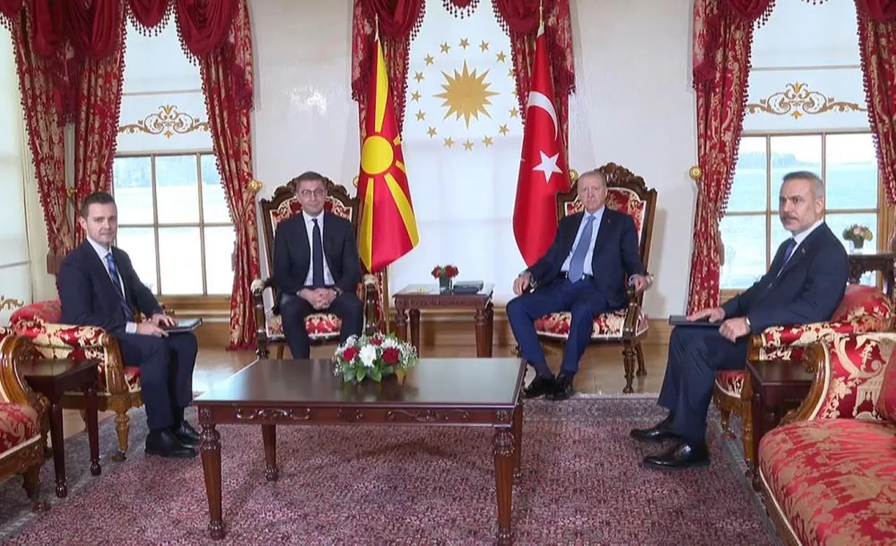 Cumhurbaşkanı Erdoğan, Kuzey Makedonya Başbakanı'nı kabul etti