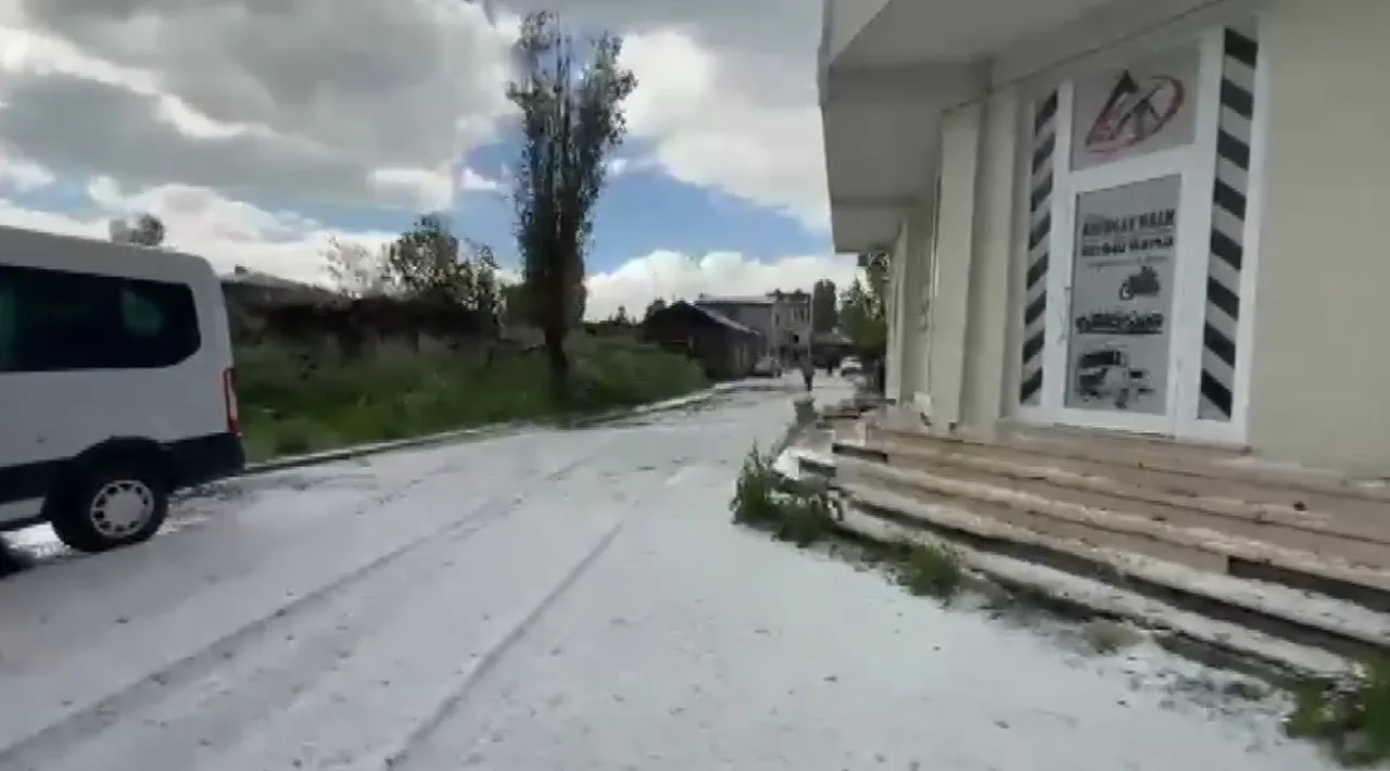 Haziran ayında ilçe beyaza büründü! Küreği kapan yolları temizledi