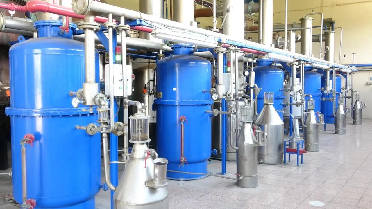 4 tondan sadece 1 kilo çıkıyor: Fiyatı ise bir araba parası!