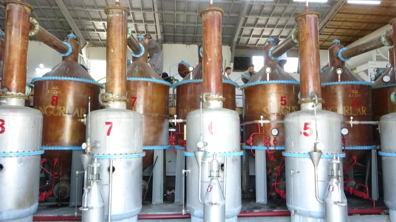 4 tondan sadece 1 kilo çıkıyor: Fiyatı ise bir araba parası!