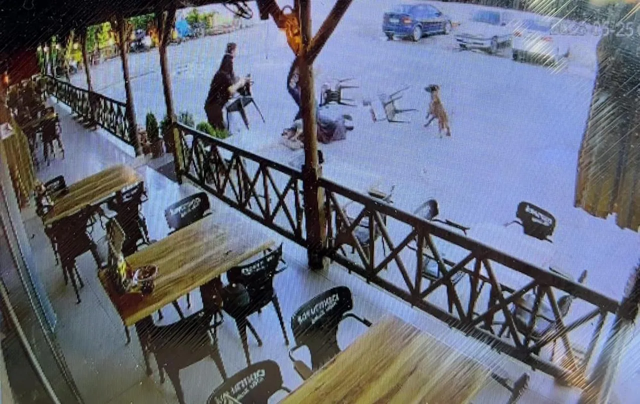 Dinlenme tesisinde dehşet! Başıboş köpek kadına saldırdı, kolunu parçaladı