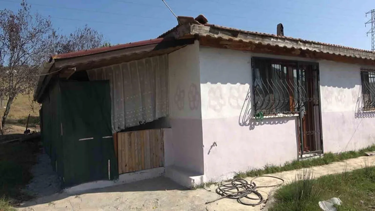 8 yıllık sır perdesi! Herkes çocuktan şüphelendi, savcı anneye ağırlaştırılmış müebbet istedi