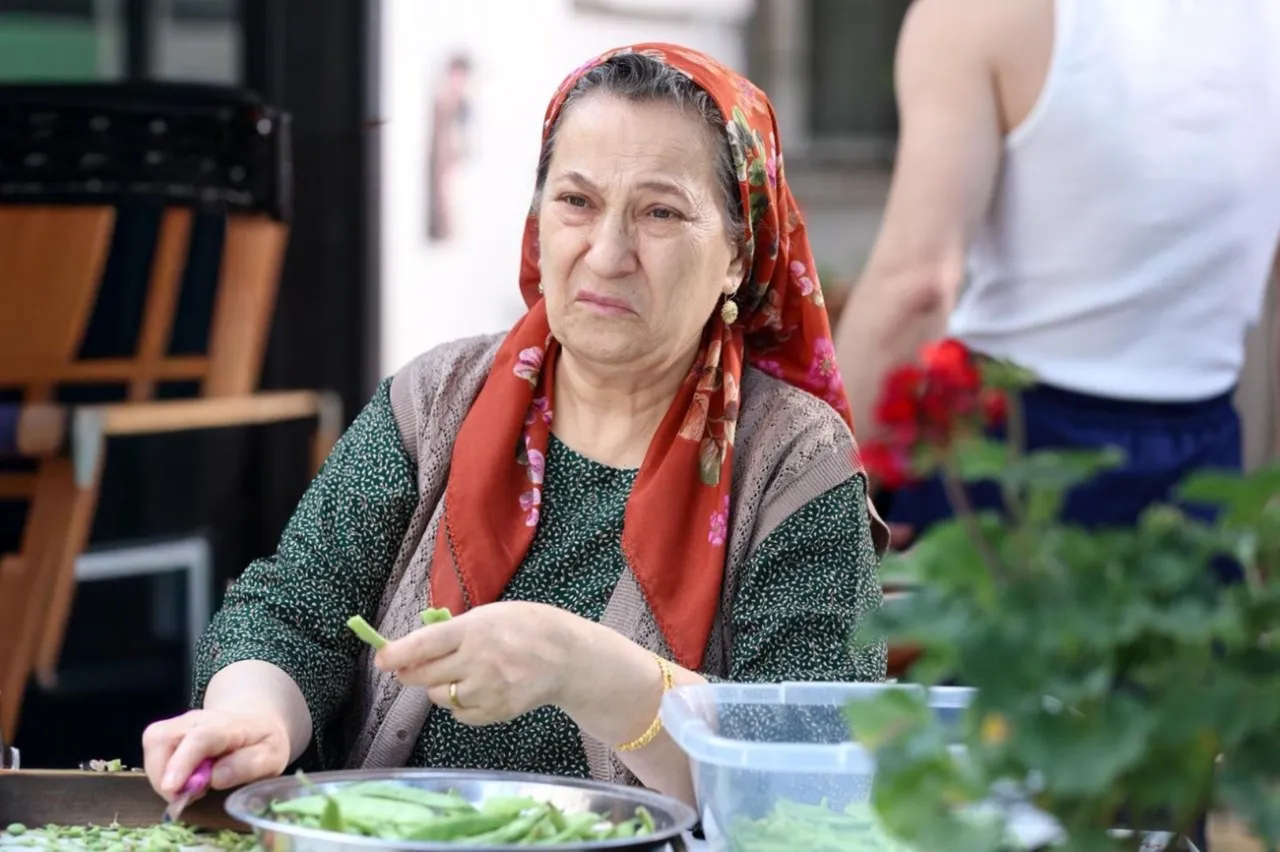 Sacide Taşaner - Pamuk Cankaya