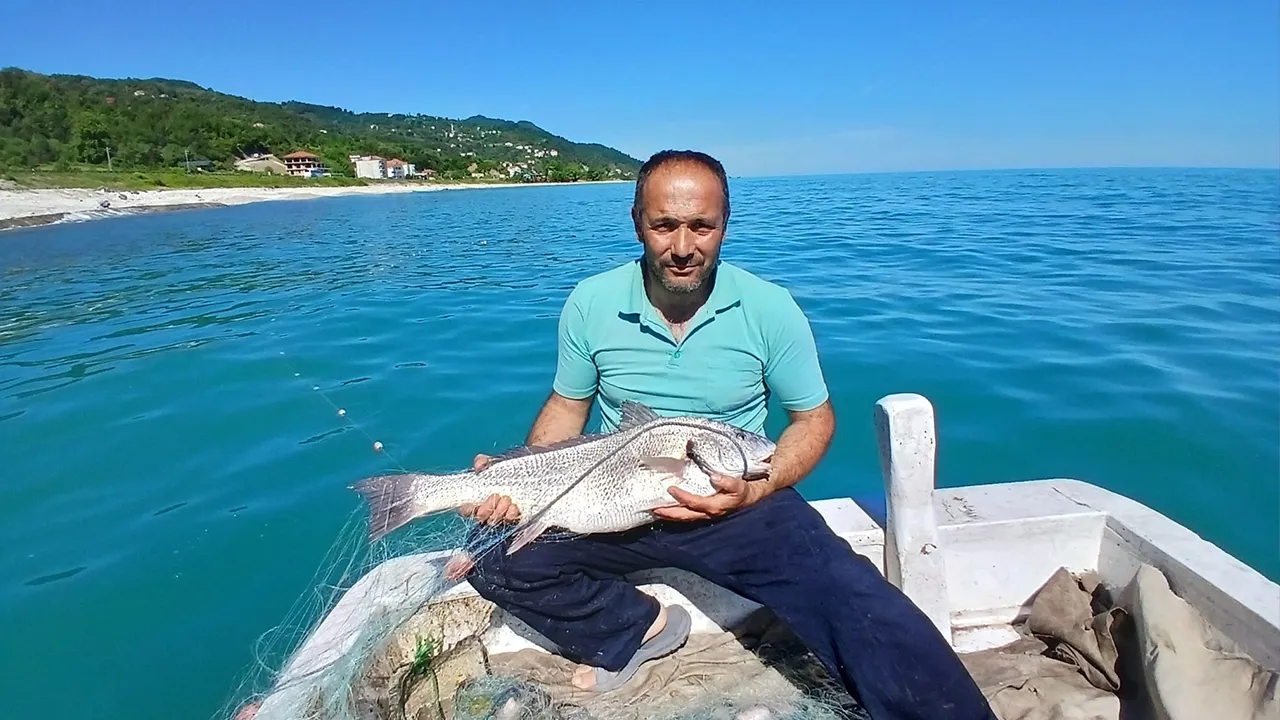 Nadir rastlanan balık Sinop’ta ortaya çıktı 