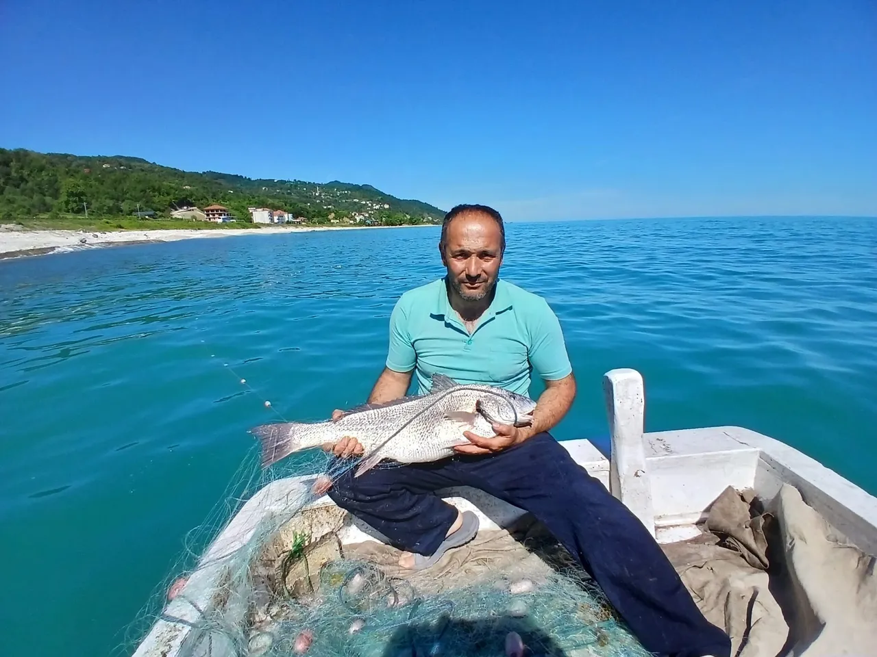 Nadir rastlanan balık Sinop’ta ortaya çıktı