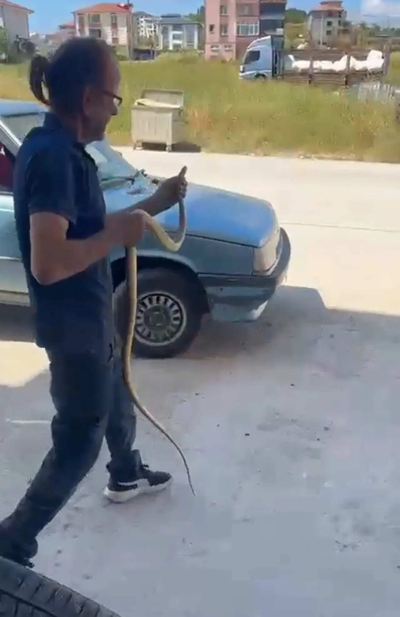 Evlere giren yılanları çıplak elle yakalıyor! Artışın sebebini tek cümleyle anlattı