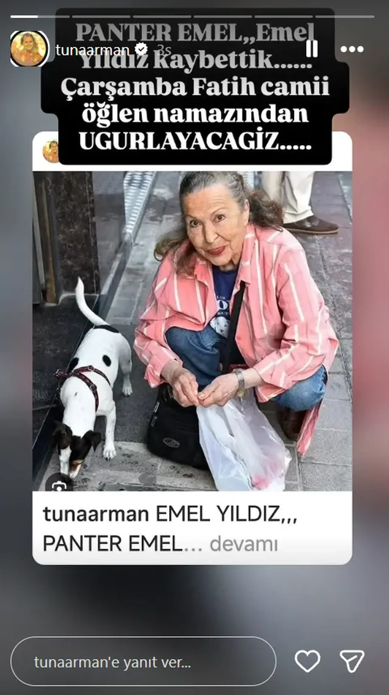 Panter Emel lakabı ile tanınıyordu! Yeşilçam oyuncusu Emel Yıldız hayatını kaybetti