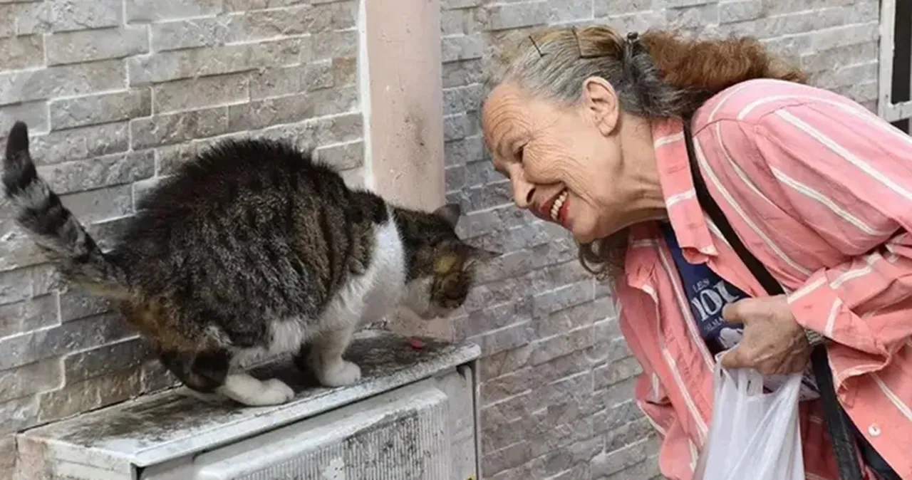 Panter Emel lakabı ile tanınıyordu! Yeşilçam oyuncusu Emel Yıldız hayatını kaybetti