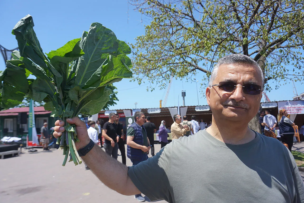 Yeşil vilayetin lezzetleri