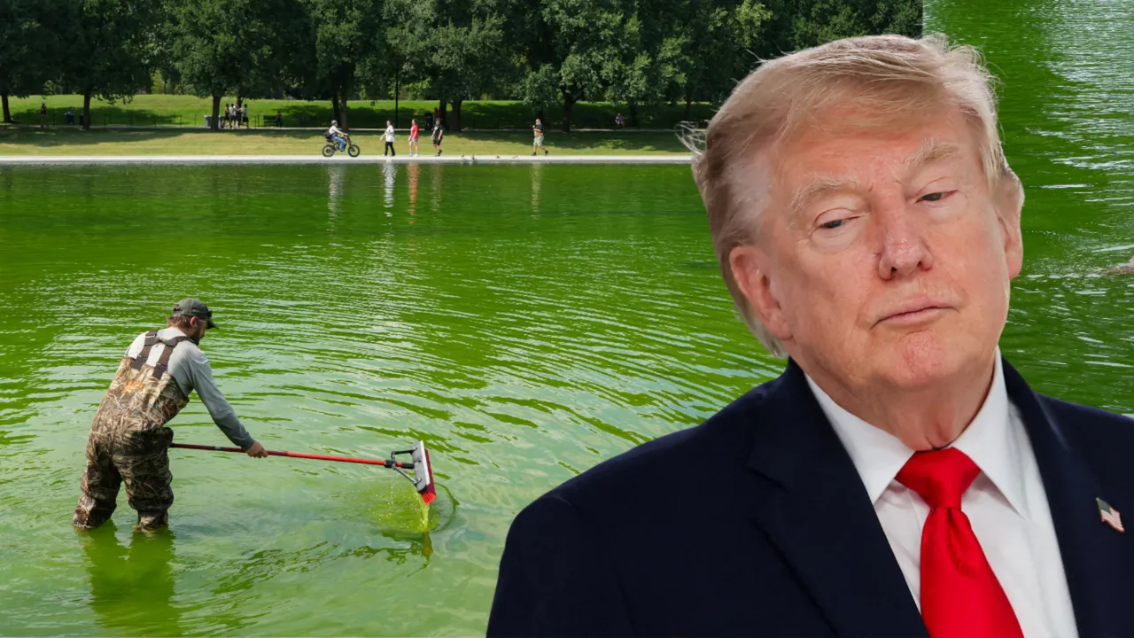 'ABD bayrağı mavisi' olacaktı! Trump’ın 14 milyon dolarlık havuz hayali hüsranla sonuçlandı