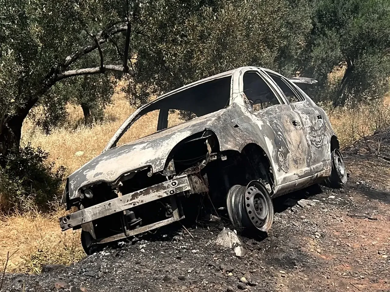Araç yangını zeytinliğe sıçradı, ekipler tam zamanında yetişti
