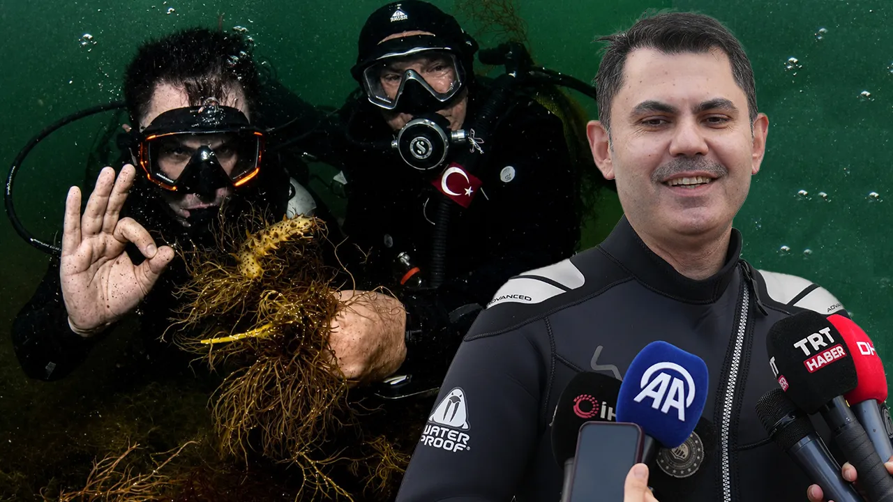 Bakanlık'tan 'İzmit Körfezi' iddialarına yalanlama