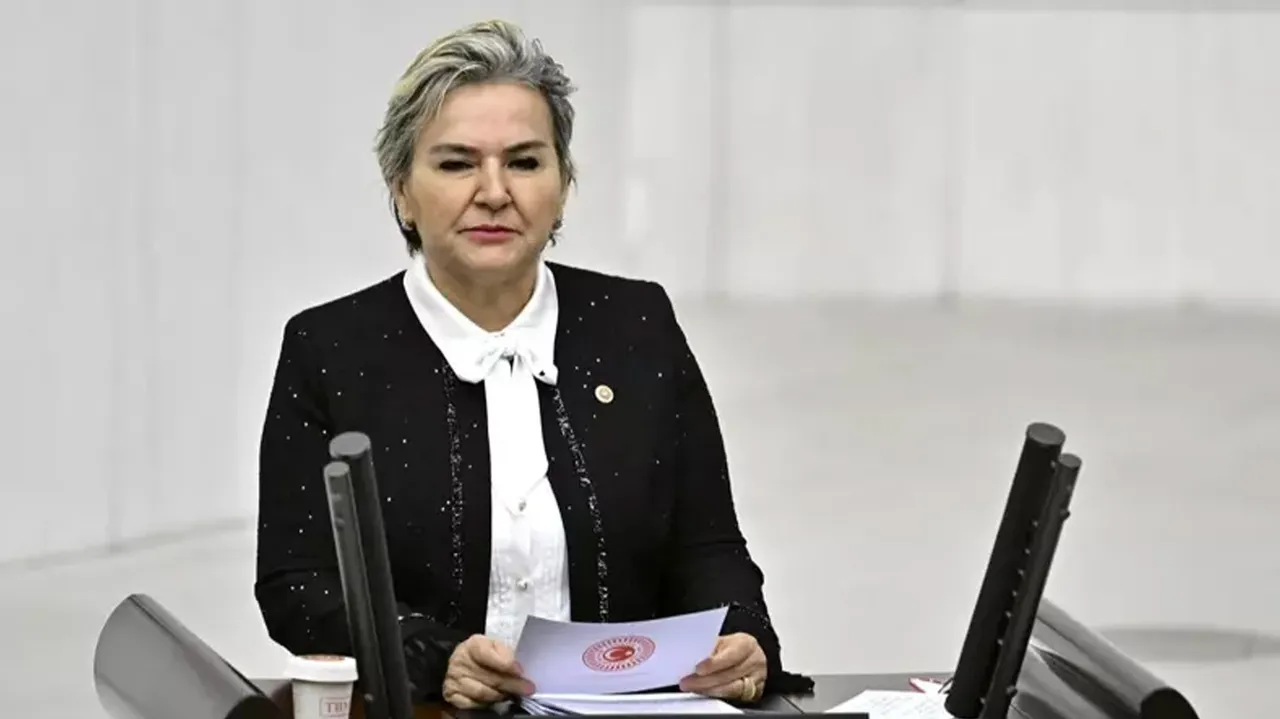 İstanbul Milletvekili Nimet Özdemir