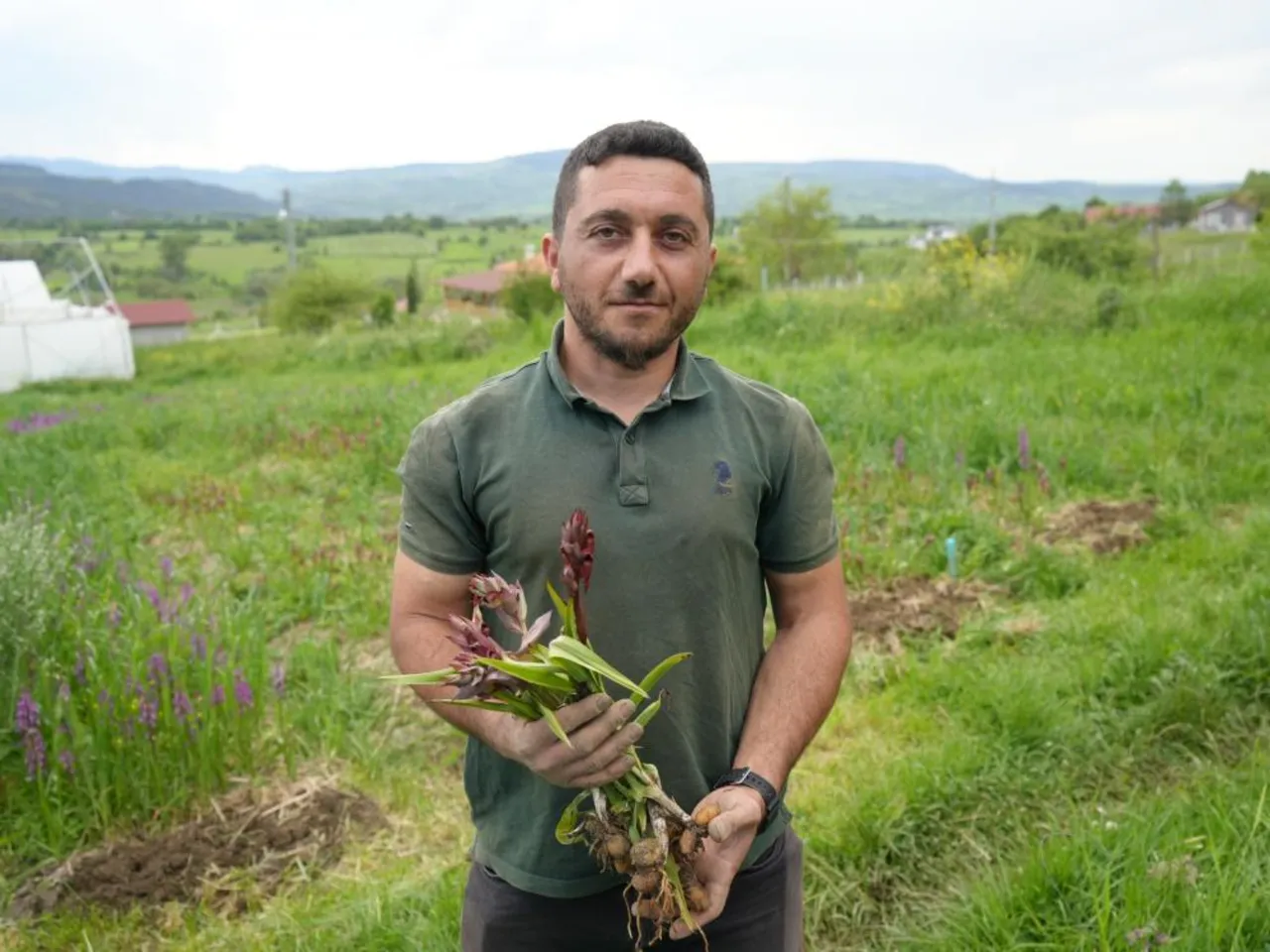 Doğadan toplanması yasak! Kilosu 13 bin liradan alıcısı var