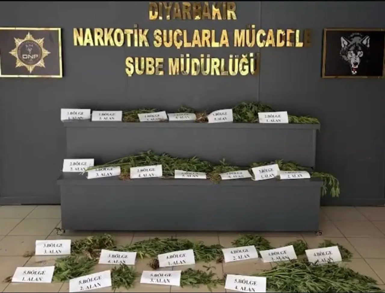 UNESCO Dünya Mirası Listesi'ndeydi! Hevsel Bahçeleri'nde uyuşturucu ele geçirildi