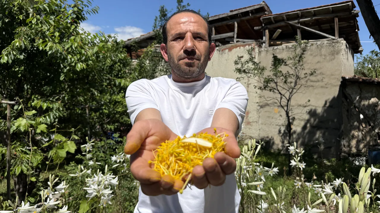 Yağının litresi 270 bin TL, kurusunun kilosu 2.500 lira! Kozmetik sektörünün olmazsa olmazı