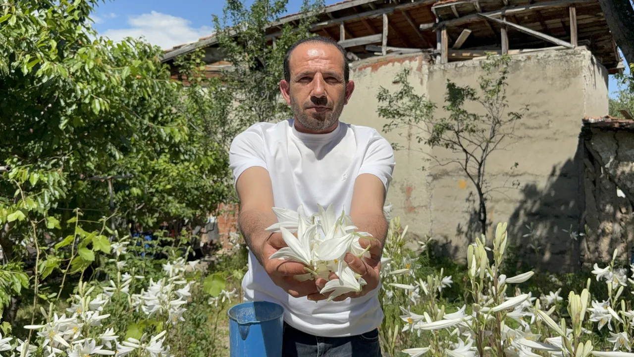 Yağının litresi 270 bin TL, kurusunun kilosu 2.500 lira! Kozmetik sektörünün olmazsa olmazı
