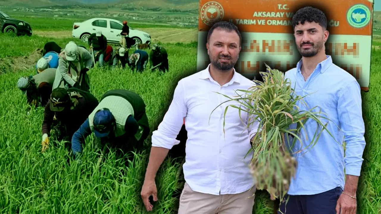 Aksaray'da üretiliyor, dünya peşinde! İspanyollar bu ürün için Türkiye'ye yatırım yaptı 