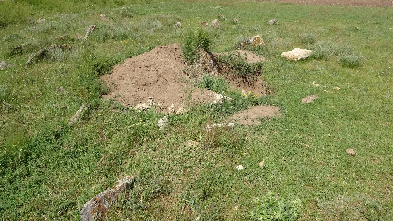 Altın söylentisi yayıldı, eline kazma kürek alan koştu! 200 yıllık mezarlığı talan ettiler