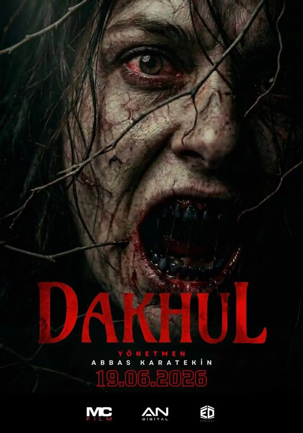 Bu hafta vizyona girecek filmler: 19 Haziran 2026 haftası 8 yeni film gösterime giriyor!