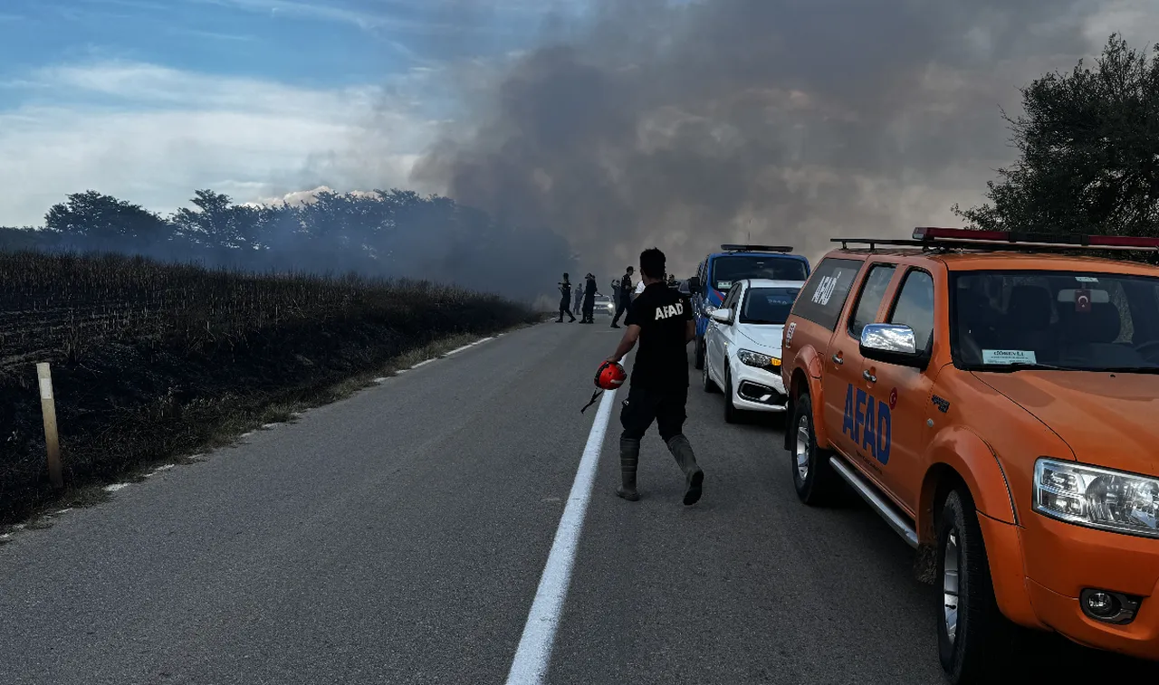 Edirne'de korkutan yangın! Ekipler bölgede