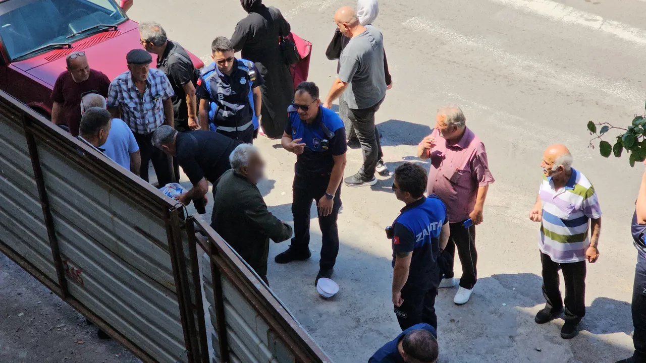 Zabıta denetiminde şaşırtan görüntü! Direndi, başını defalarca demir kapıya vurdu