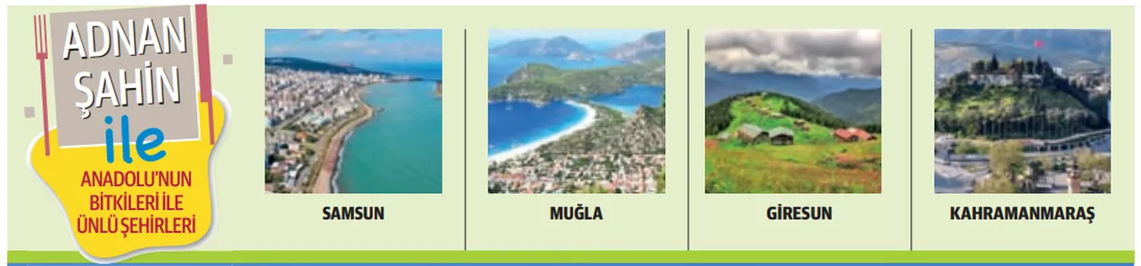 Anadolu'nun bitki imparatorluğu