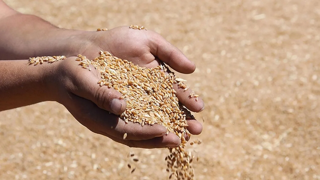 2026 yılı hububat alım ve satış fiyatları belli oldu