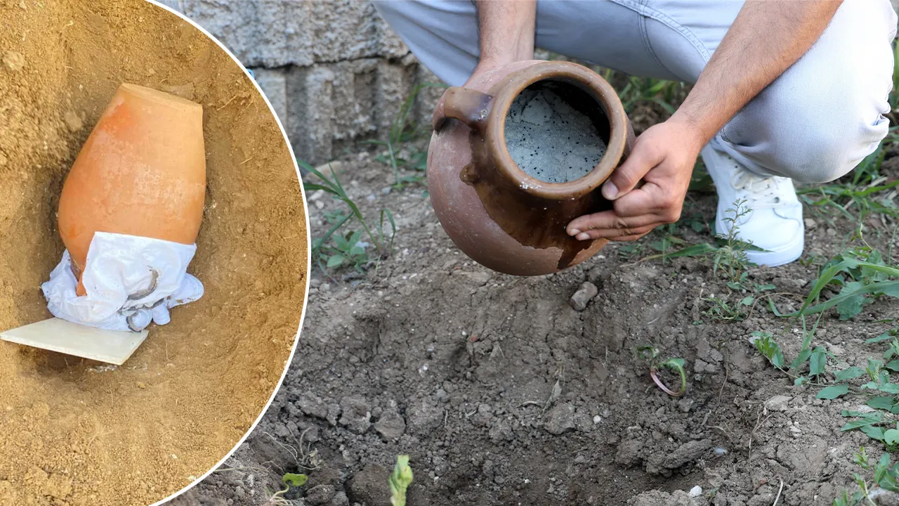 6 ay boyunca toprağın altında saklıyor! Herkes altın arıyor zannetti gerçek başka çıktı