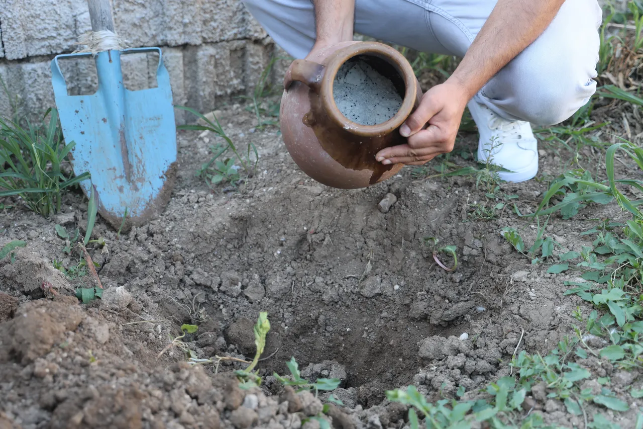 6 ay boyunca toprağın altında saklıyor! Herkes altın arıyor zannetti gerçek başka çıktı