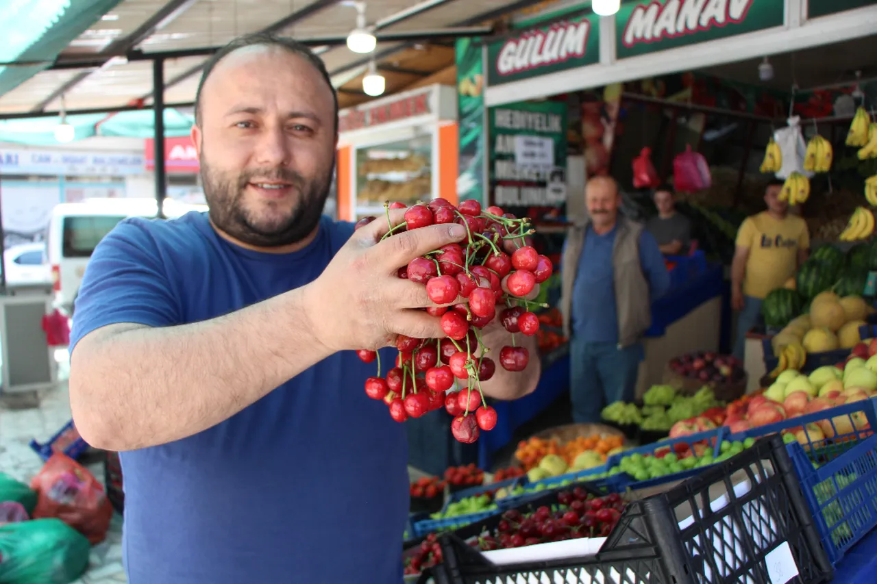 Amasya'nın meşhur kirazı tezgahlara indi! İşte fiyatı