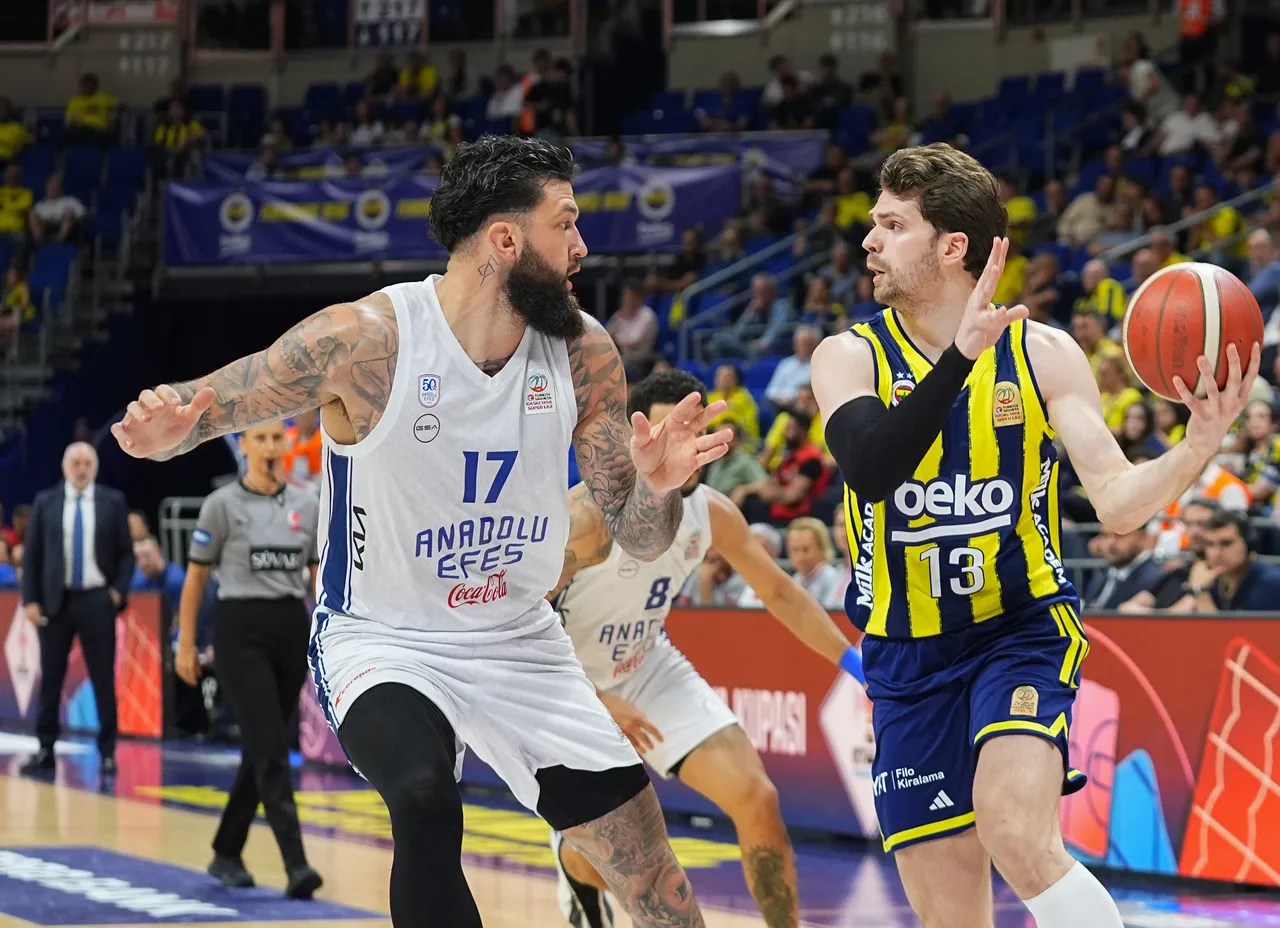 Vincent Poirier - Tarık Biberovic