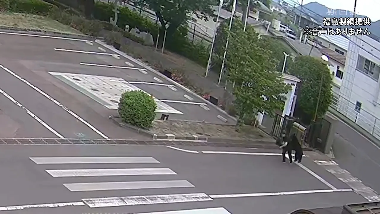 Japonyada ayı dehşeti! Eğitime ara verildi: Yaralılar var
