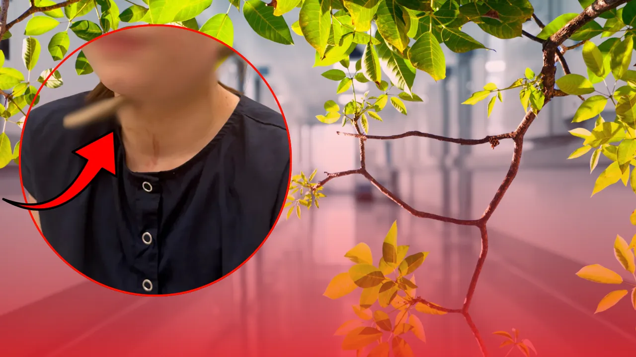 Oyun oynarken düşünce felaketi yaşadı! 15 santimetrelik ağaç dalı boynunu delip geçti