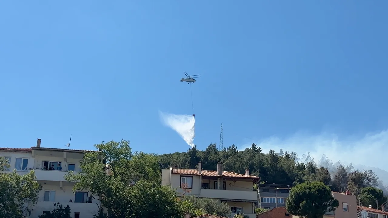 Balıkesir'de turistik köyde büyük yangın! Orman kül oldu