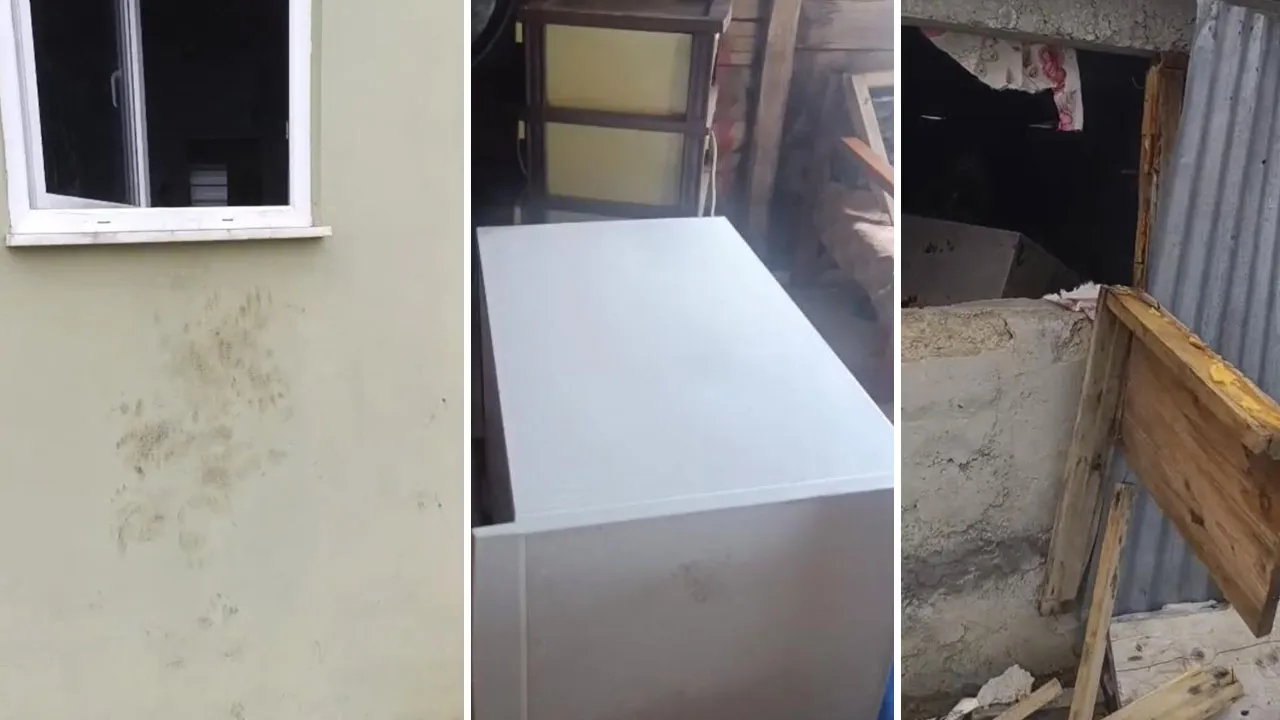 Bir gecede 20 eve girdi, bölge halkı isyan etti! Yetkiler uyardı: Bırakmayın... 