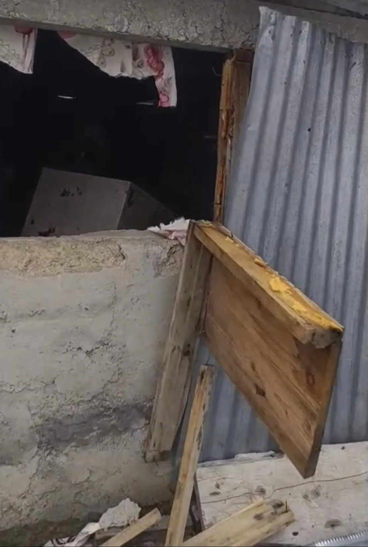 Bir gecede 20 eve girdi, bölge halkı isyan etti! Yetkiler uyardı: Bırakmayın...