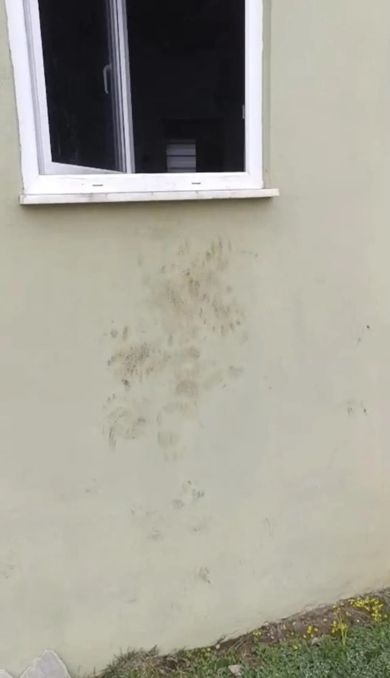 Bir gecede 20 eve girdi, bölge halkı isyan etti! Yetkiler uyardı: Bırakmayın...
