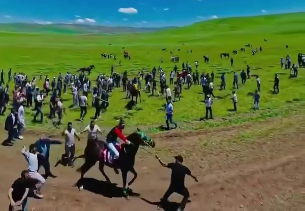 Görüntüler tespit edildi! Erzurum’da at yarışında ata uygunsuz müdahaleye soruşturma!