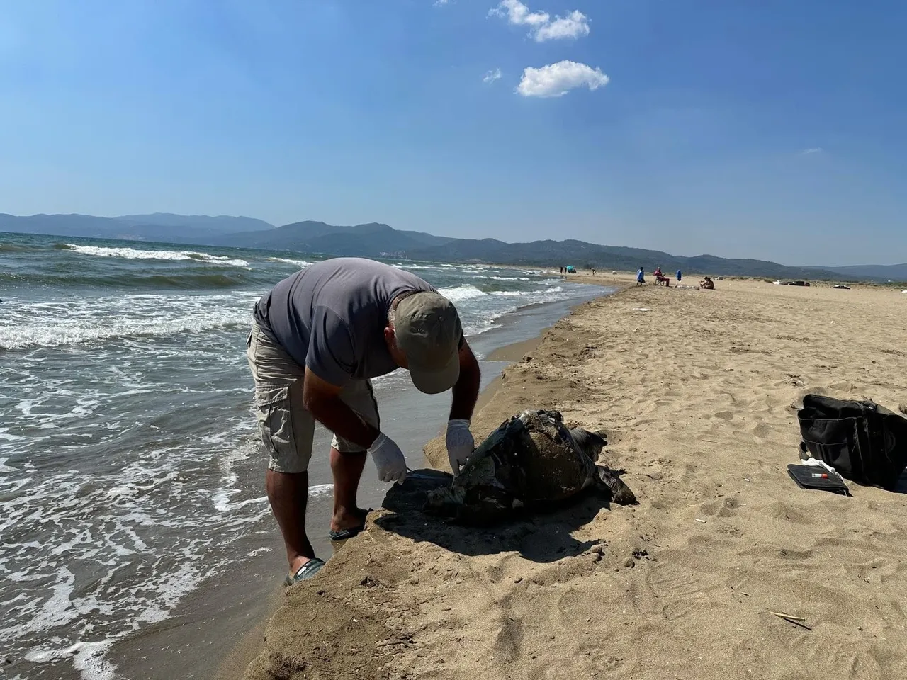Vicdansızlığın böylesi! Ayağına taş bağladıkları kaplumbağa telef oldu